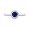 14kt White Gold Womens Round Blue Sapphire Diamond Halo Ring 7/8 Cttw